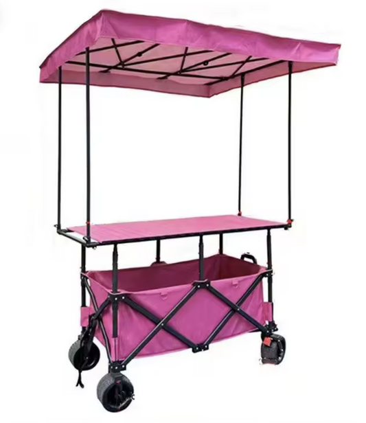 Carrito plegable con toldo para emprendedores | Ideal para ferias, personalizar con estampadora, stickers o adhesivos | Venta y exhibición fácil