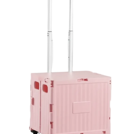 Carrito de Compras Plegable con Ruedas y Asa Telescópica | 38×32,5×39 cm (Altura 90 cm)
